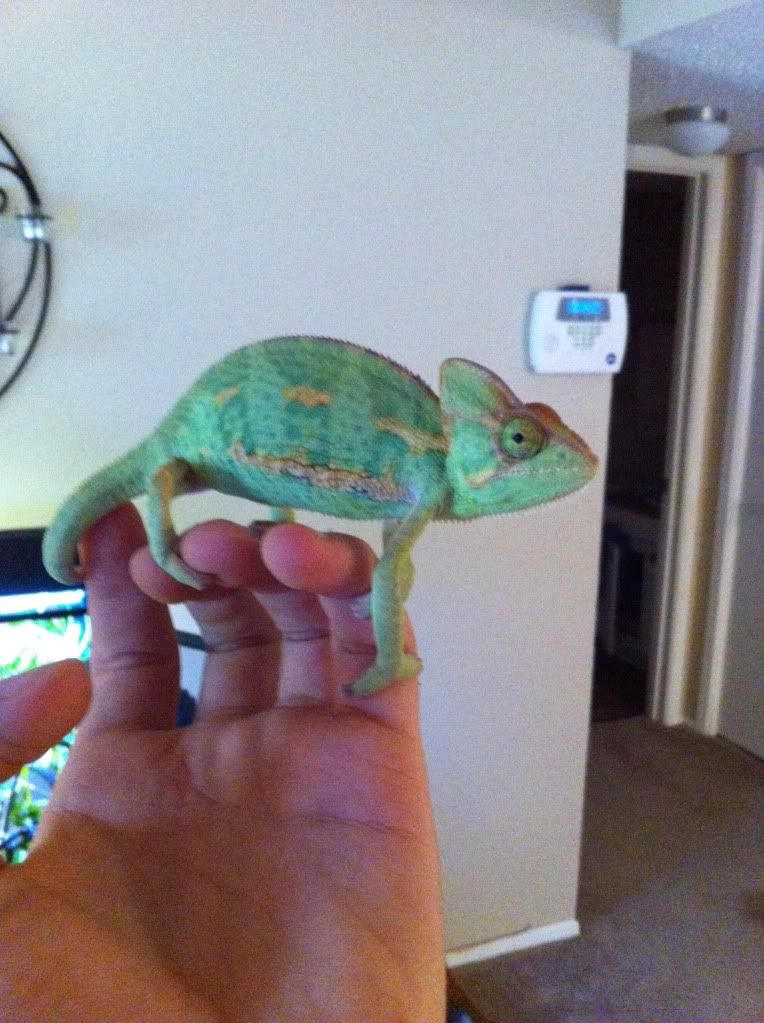 2012-10-08135022.jpg