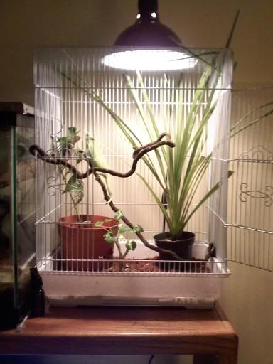 downsized_1018091212.jpg