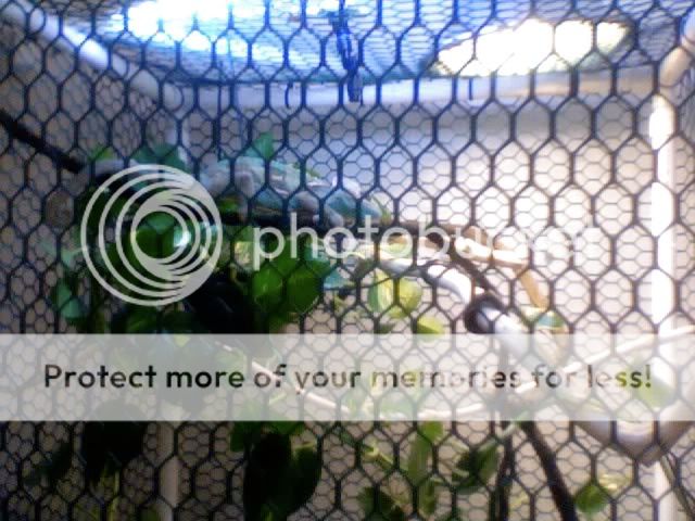 Photo5-1.jpg