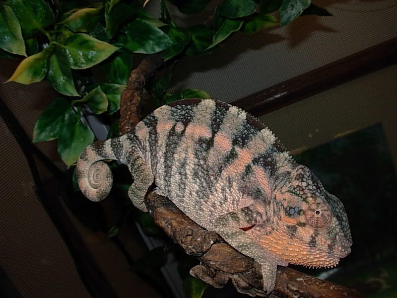 DSCN2052.jpg