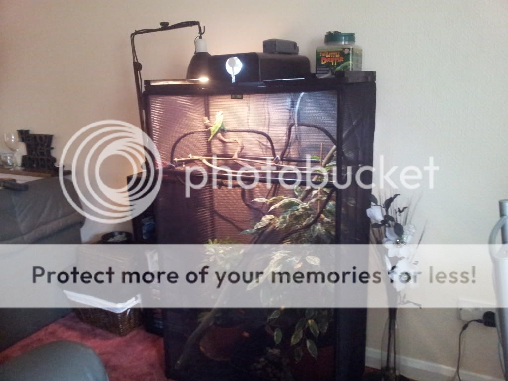 grantpics025.jpg