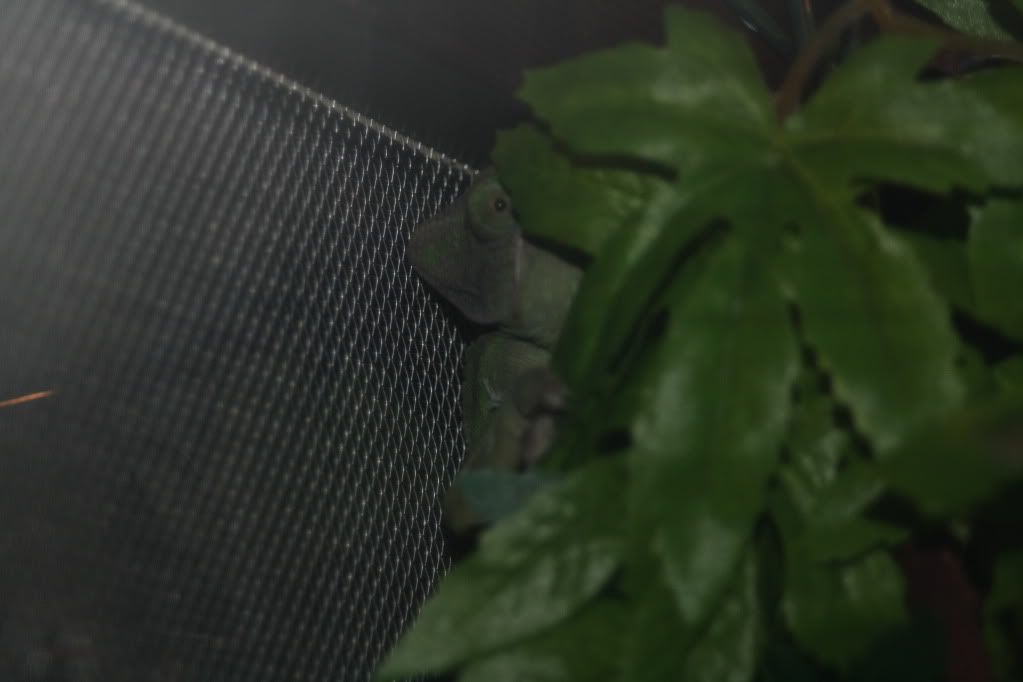 20110803_5.jpg