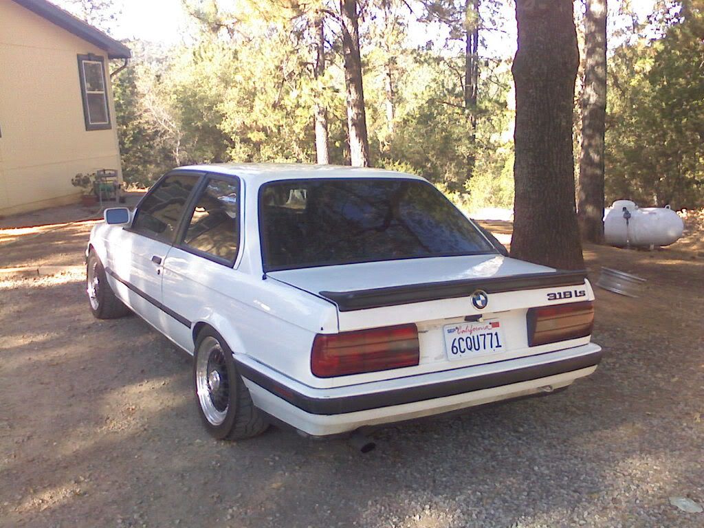 1001080956a.jpg