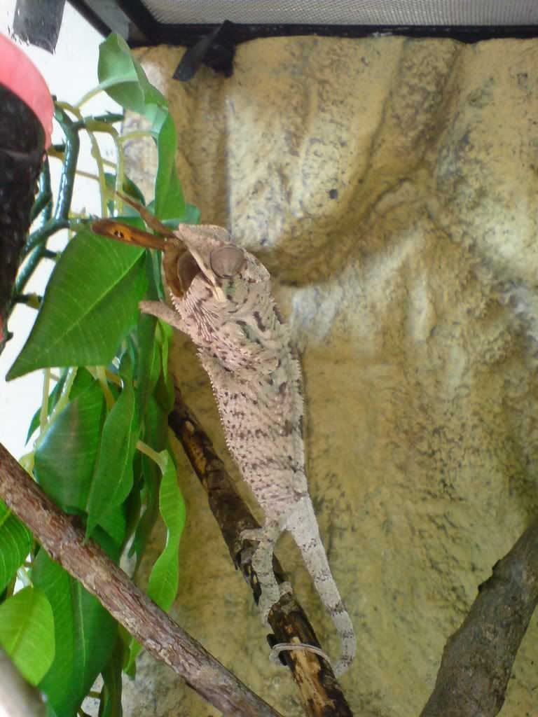 DSC01552.jpg
