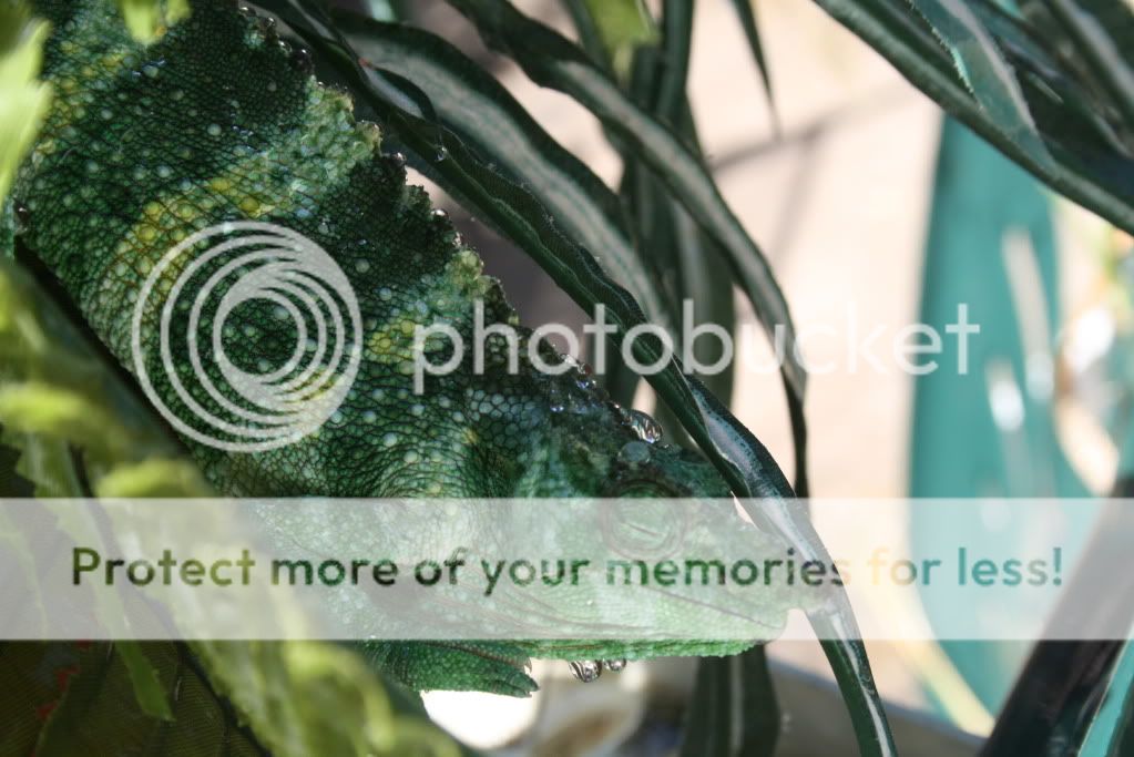 eospics9-19-09004-10.jpg