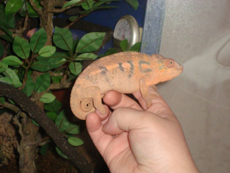 2484kk6_20.jpg