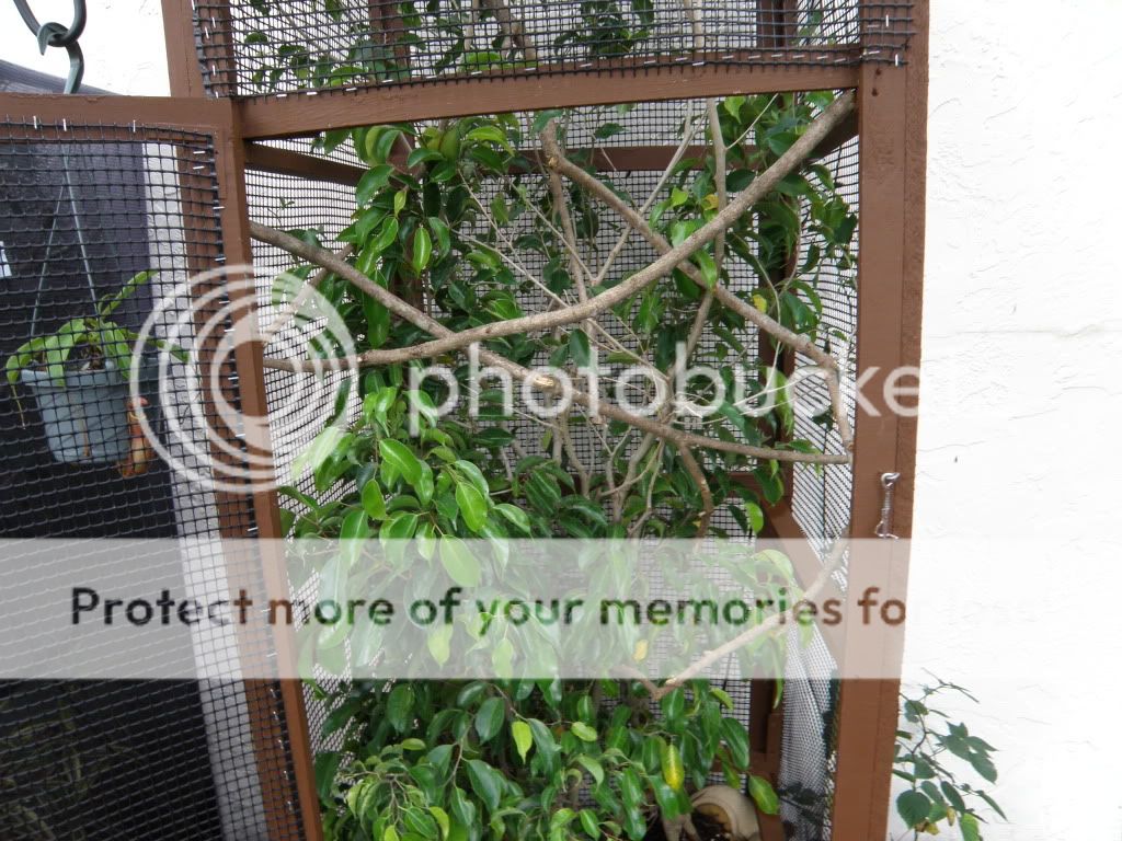 PB210783.jpg
