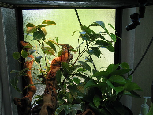 3749568407_ac82c1b7d0.jpg