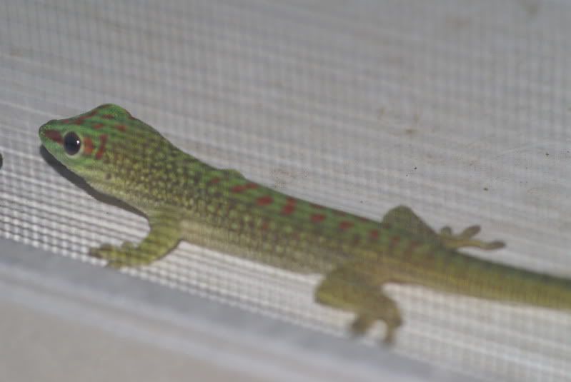 DSC07745.jpg