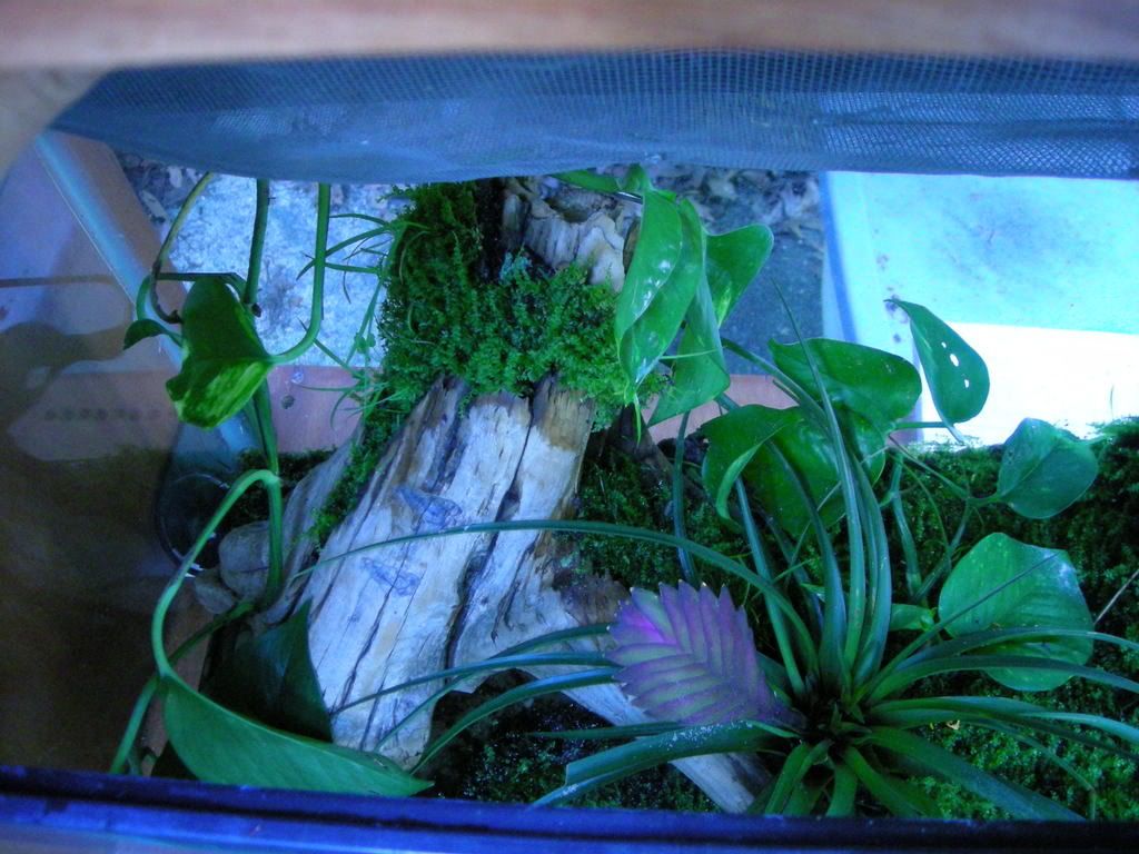 NewpicJuly08012.jpg