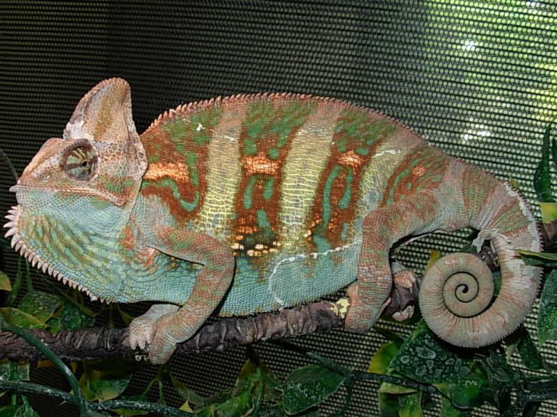 DSCN4191.jpg