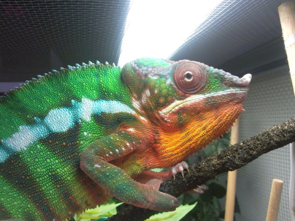 2010-08-31154743.jpg