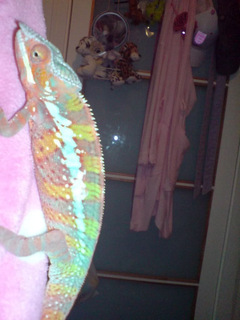 DSC01777.jpg
