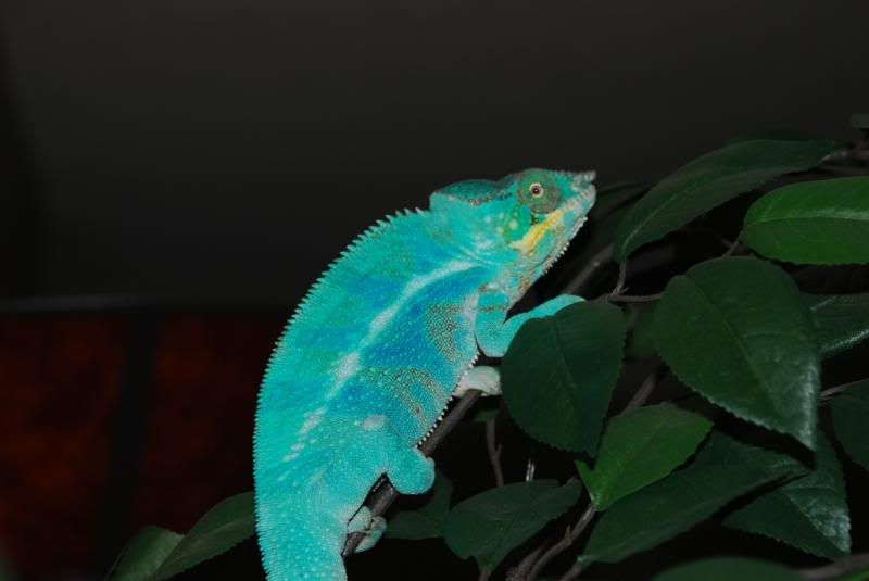 DSC_00344432.jpg
