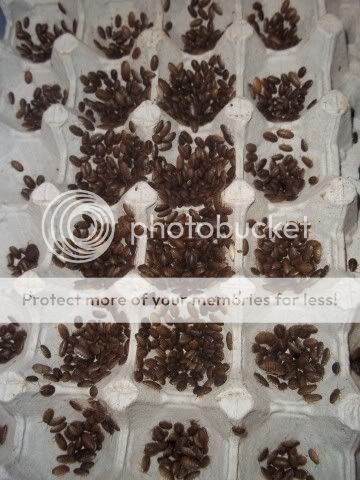 100_1894Small.jpg