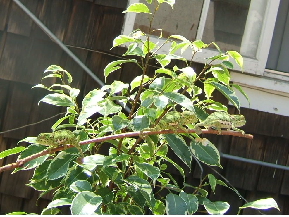 DSCF7522.jpg