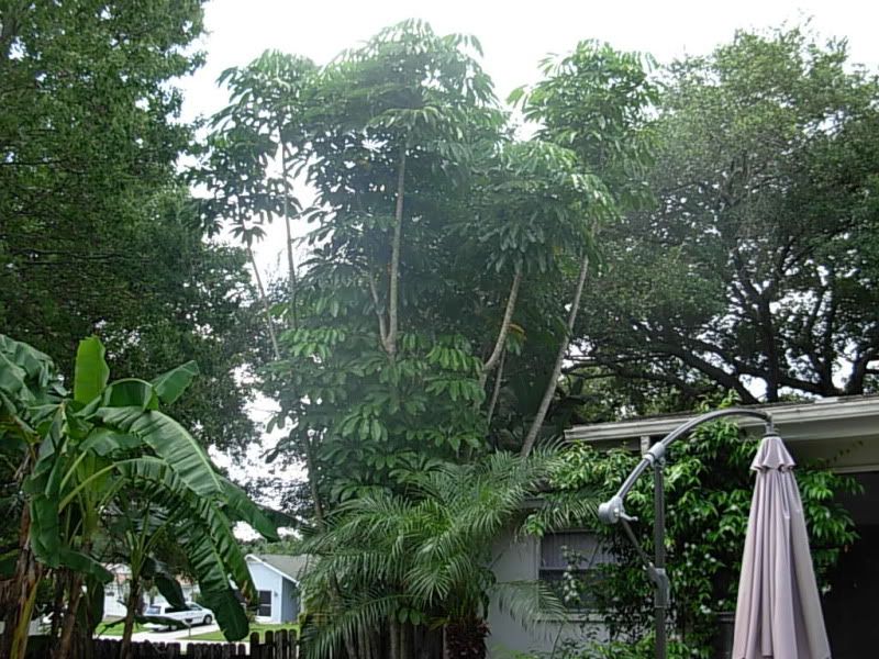 DSCN4369.jpg