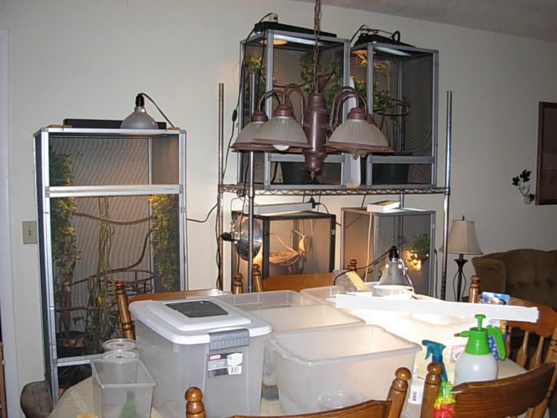 DSCN5979.jpg