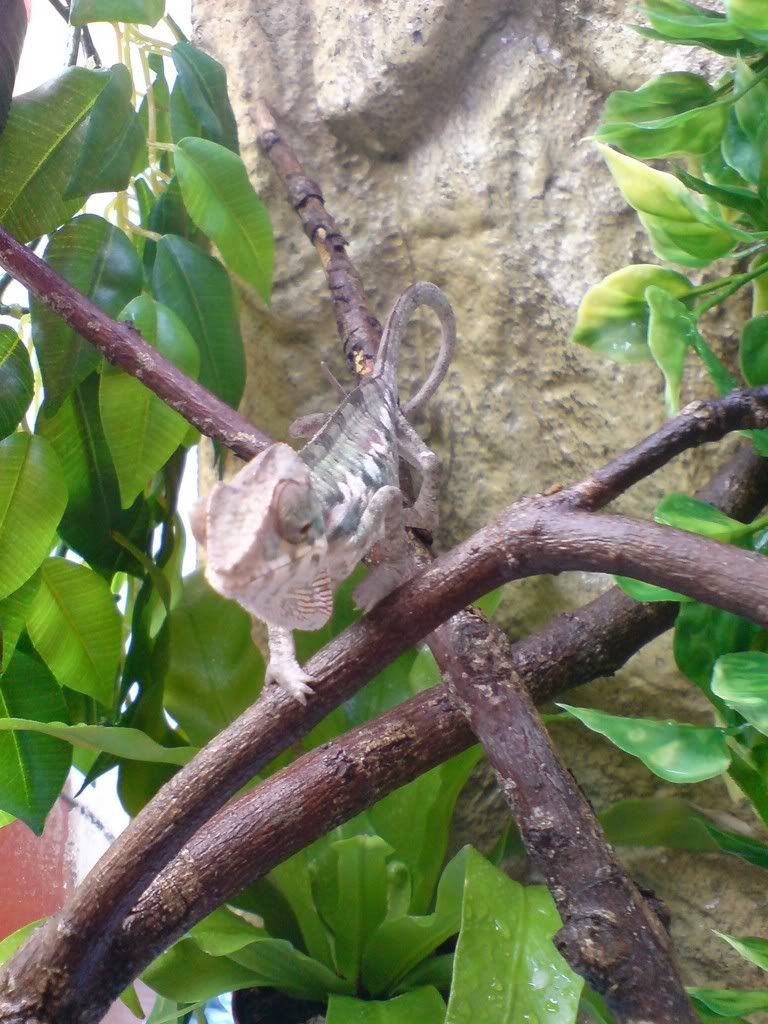 DSC01610.jpg
