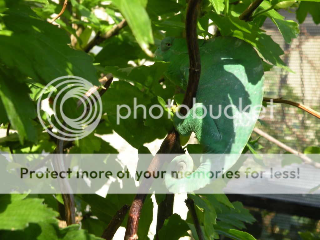 DSCN6762.jpg