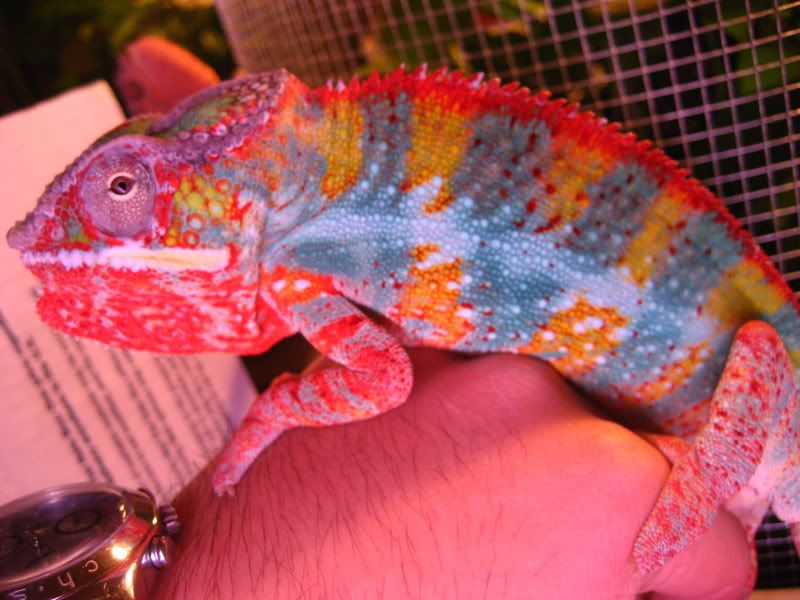 IMG_1986.jpg