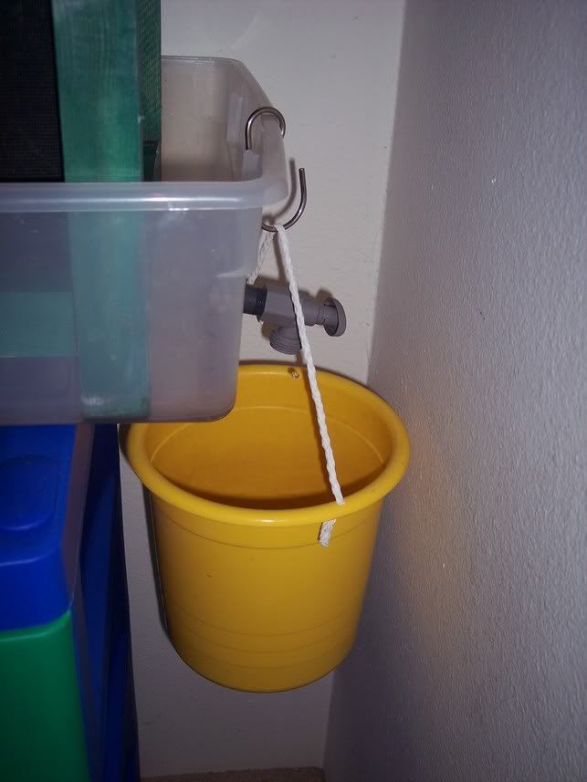 bucket.jpg