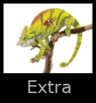 14xtra.jpg