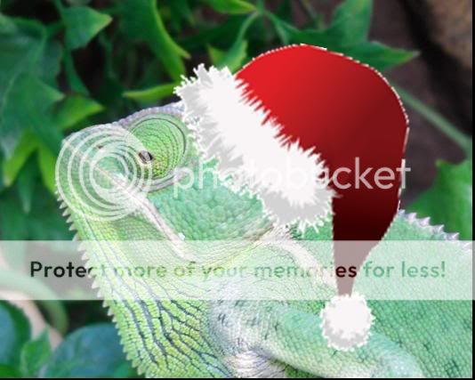 XmasAmy.jpg