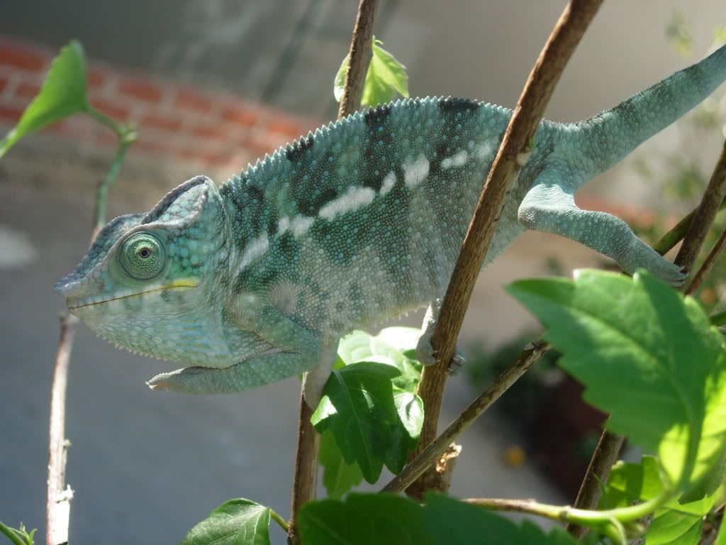 DSCN1407.jpg