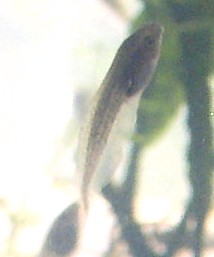 4666325838_1012b86c56.jpg