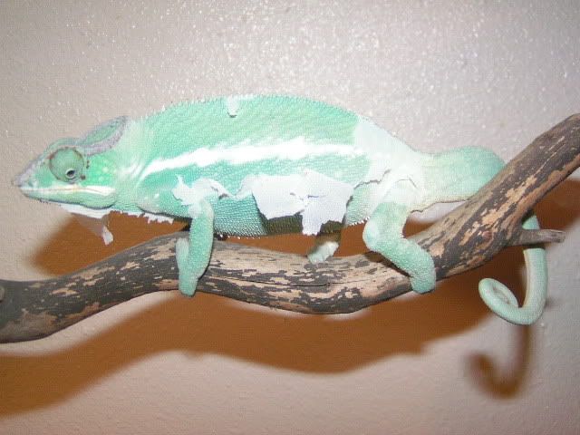 PICT3107.jpg