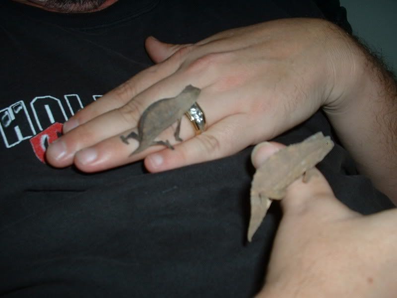 DSCF0037-1.jpg