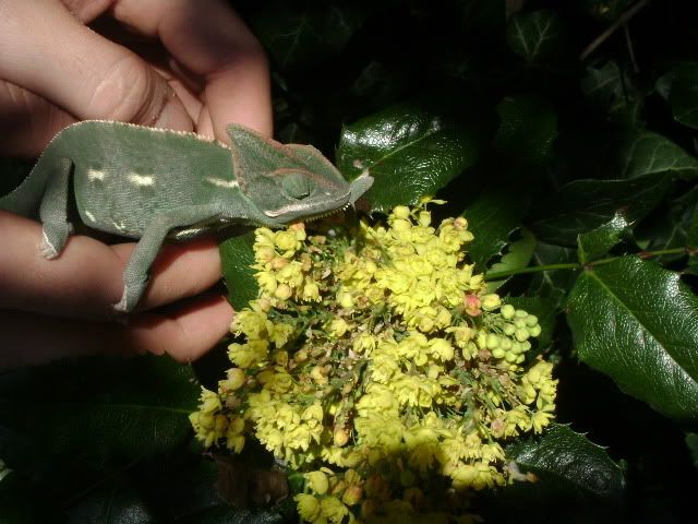 DSC00514.jpg