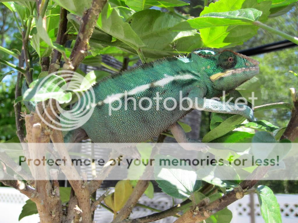 IMG_0948.jpg
