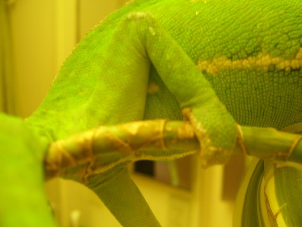 100_7131.jpg