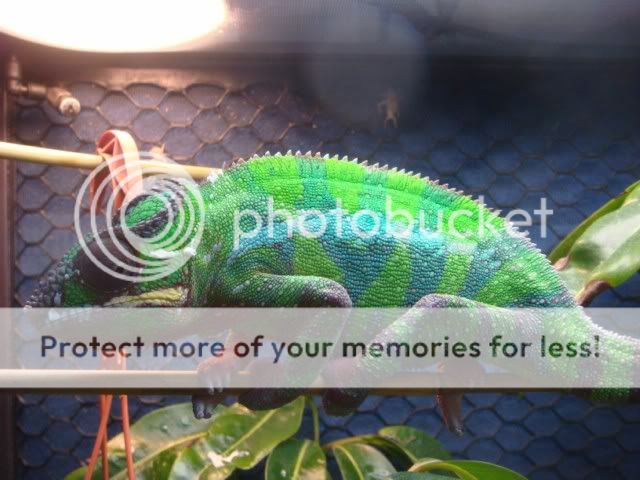 DSC00731640x480.jpg