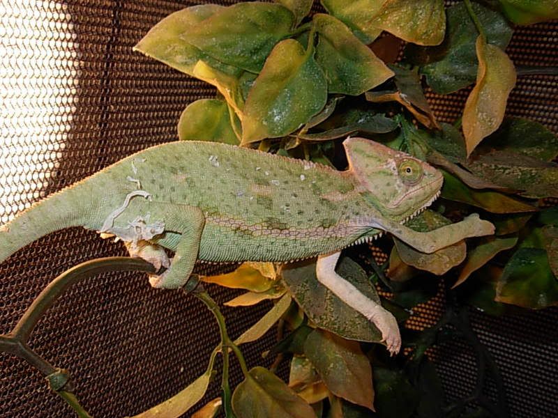 DSCN3703.jpg