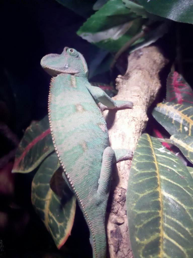 2011-01-22_17-40-56_756.jpg