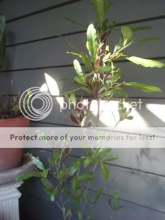 2011-10-14092705.jpg