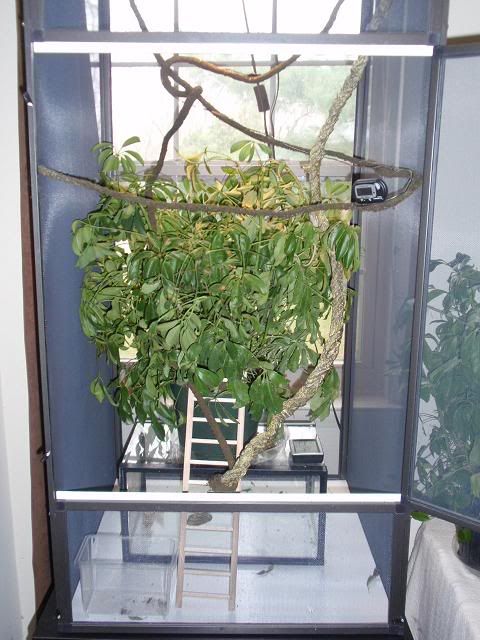 middleofcage.jpg