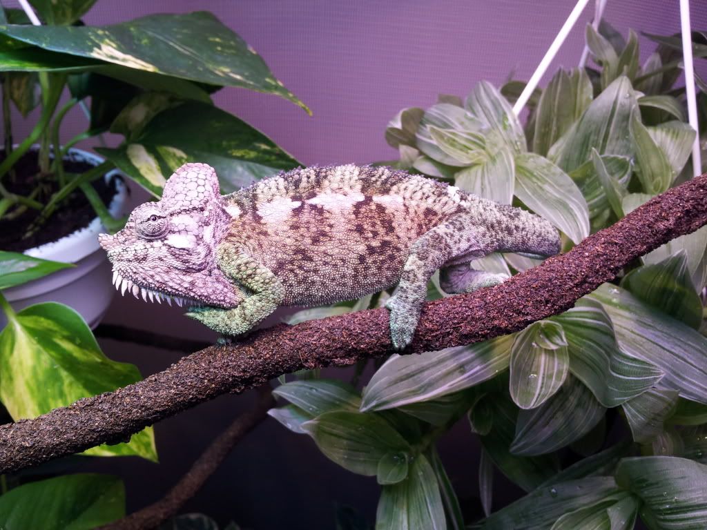 20120308_144626.jpg