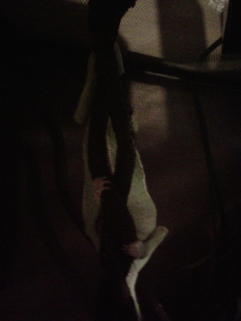 IMG00277-20120802-2333-1.jpg