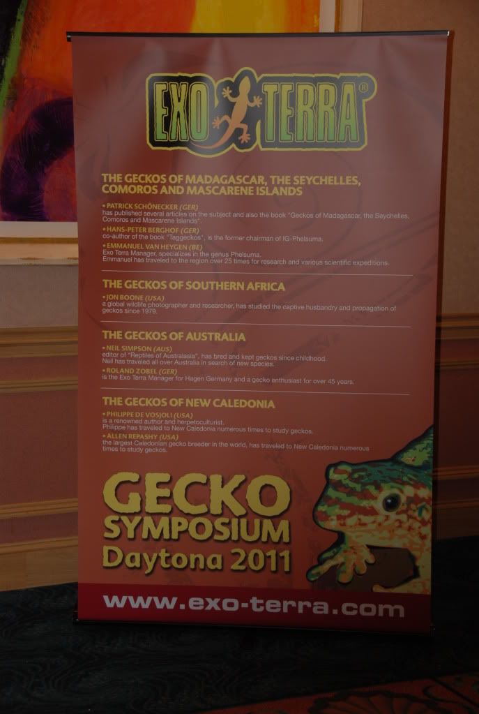 daytona2011008.jpg
