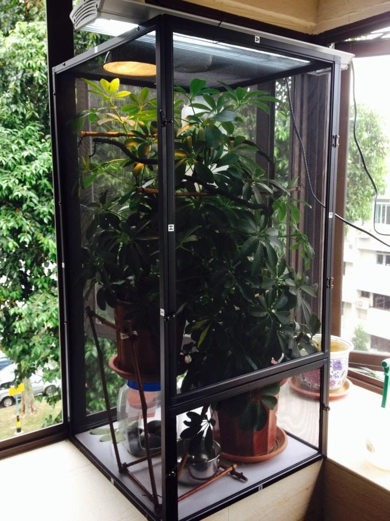 image-6.jpg