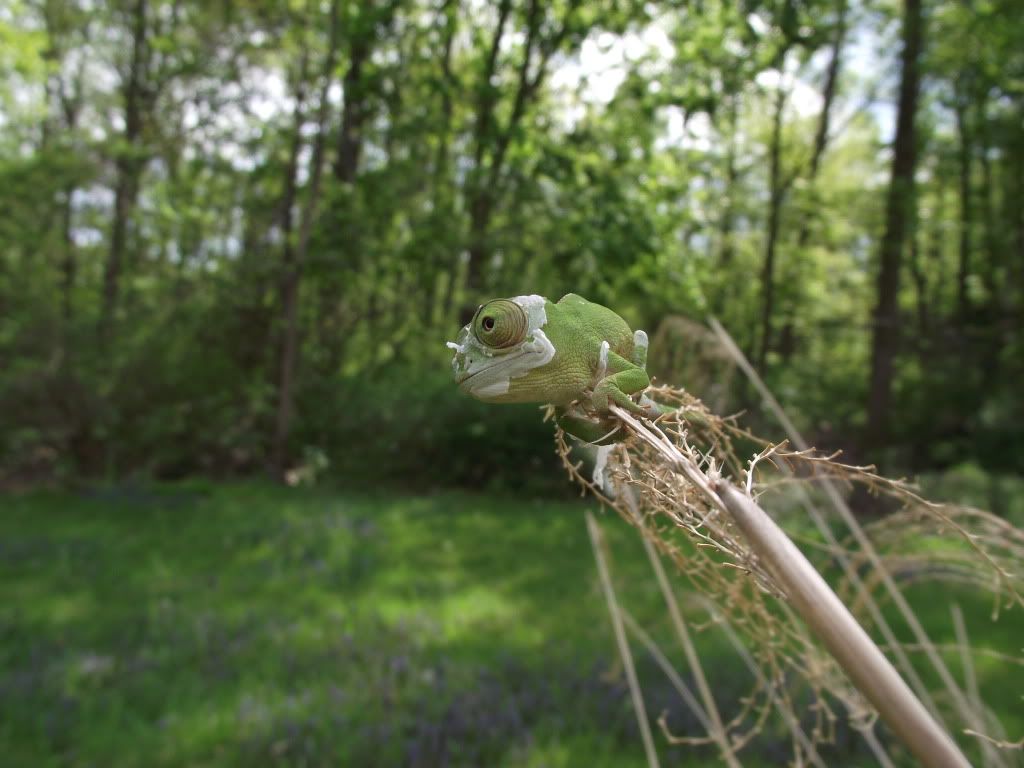 046-1.jpg