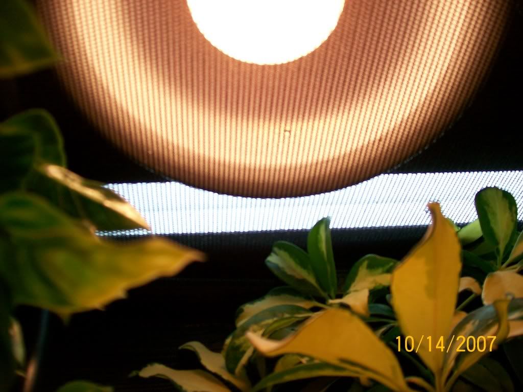 000_0002_00-1.jpg
