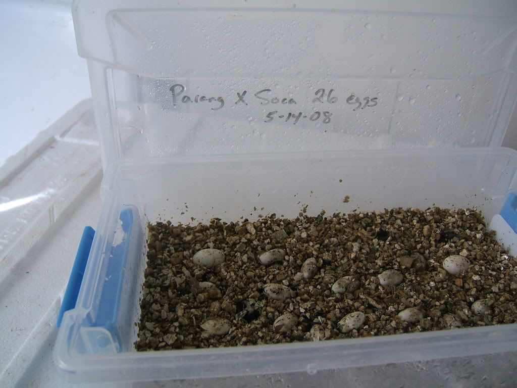 DSCF7738.jpg