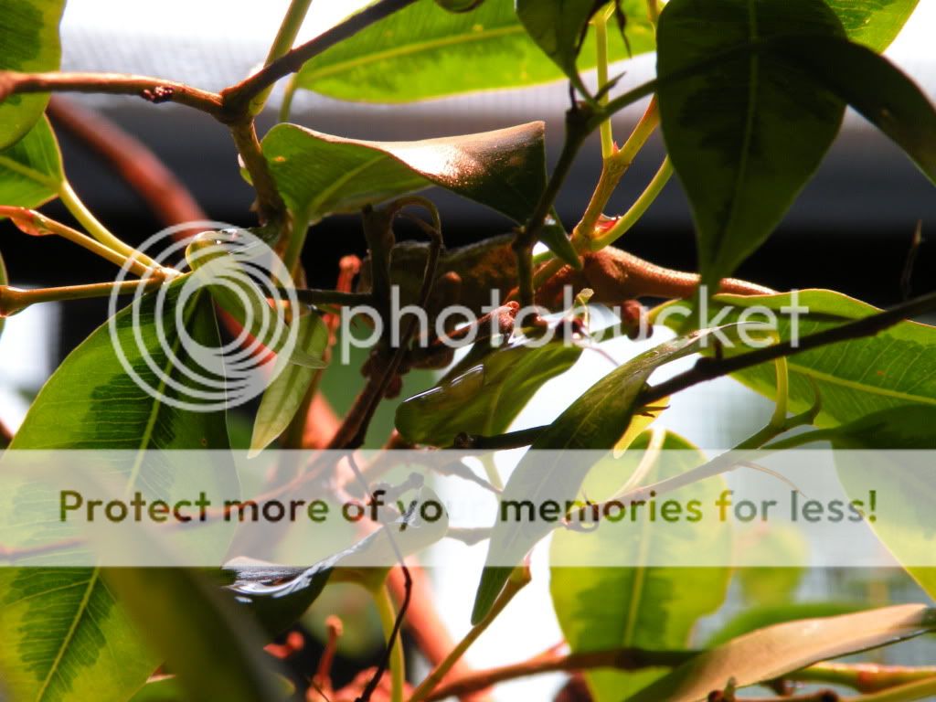 DSCN7896.jpg