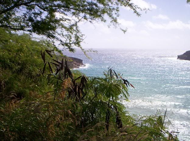Hawaii127.jpg
