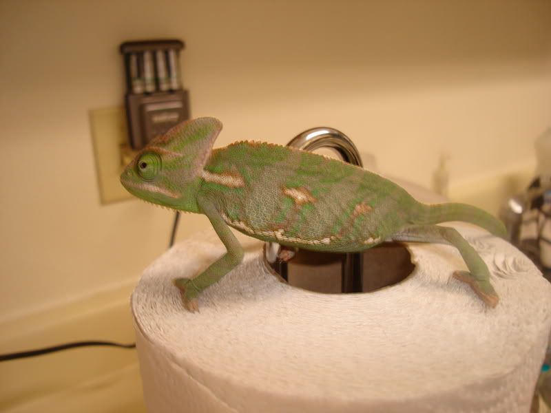 DSC02015.jpg